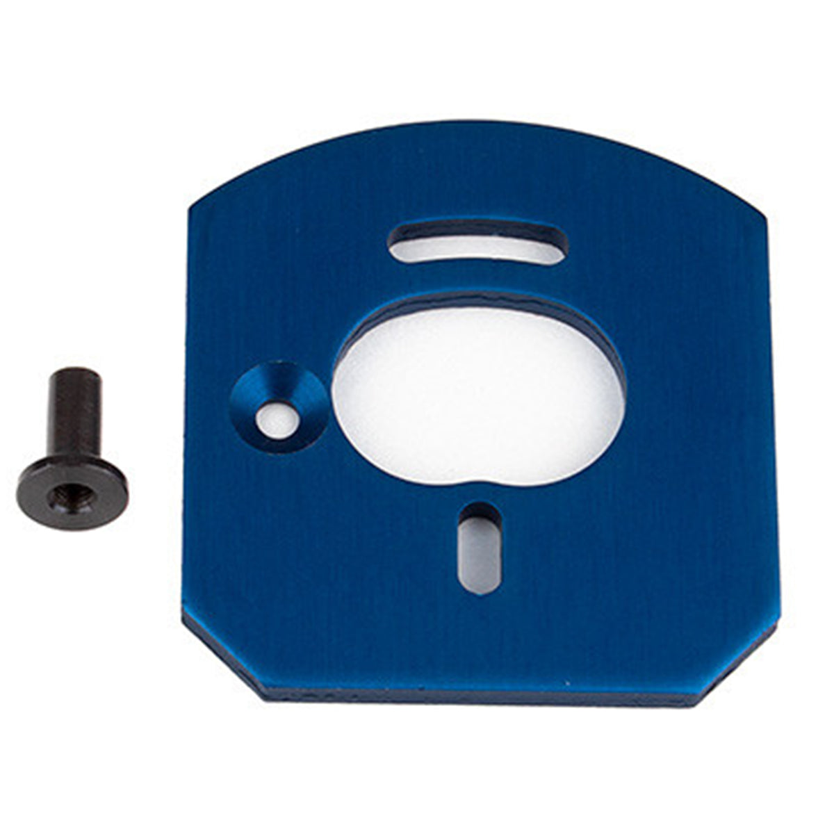 Team Associated Apex 2 Motor Mount