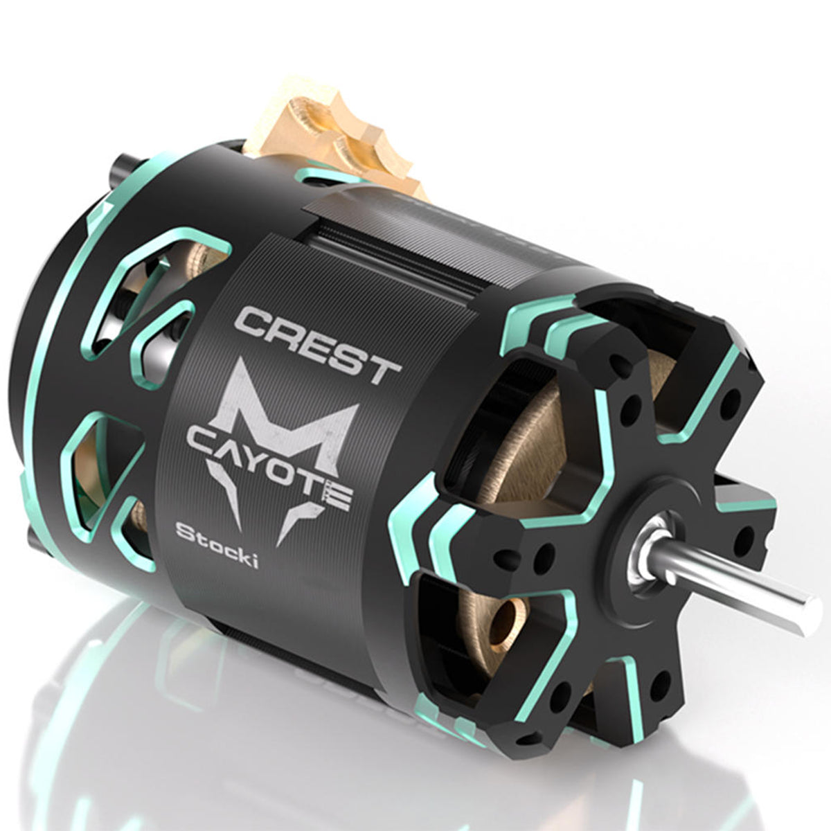 Cayote Crest Stocki 1/10 Brushless Competition Sensored Motor (17.5T)